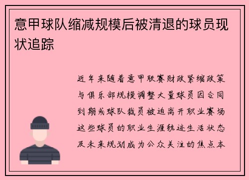 意甲球队缩减规模后被清退的球员现状追踪